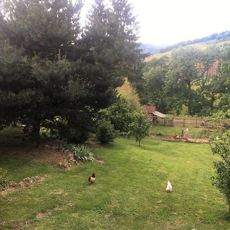 Gites De Gobertier Saint-Alban-d'Ay Exterior foto