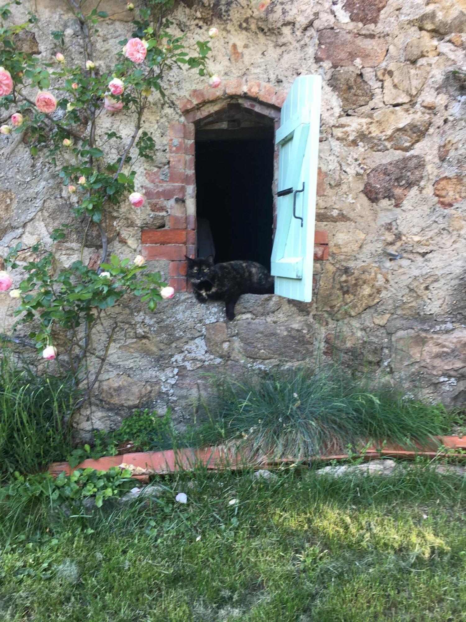 Gites De Gobertier Saint-Alban-d'Ay Exterior foto